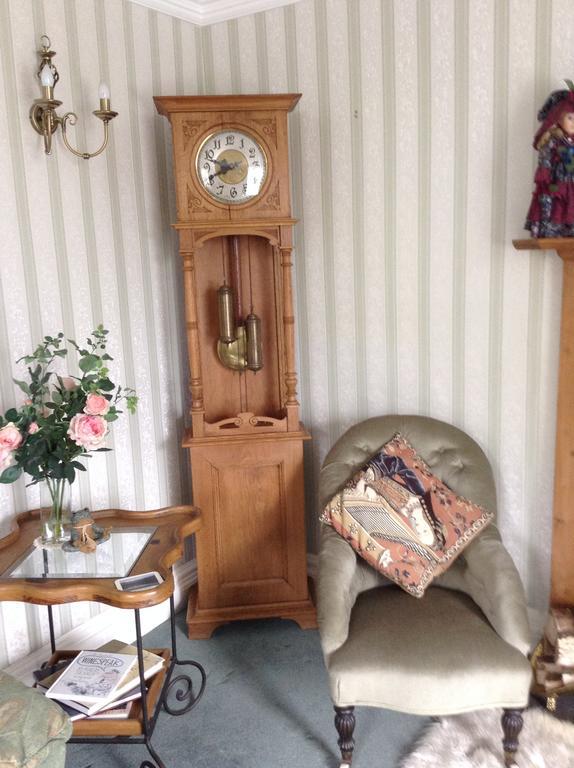 Frondderw Country House Bed & Breakfast Bala Εξωτερικό φωτογραφία