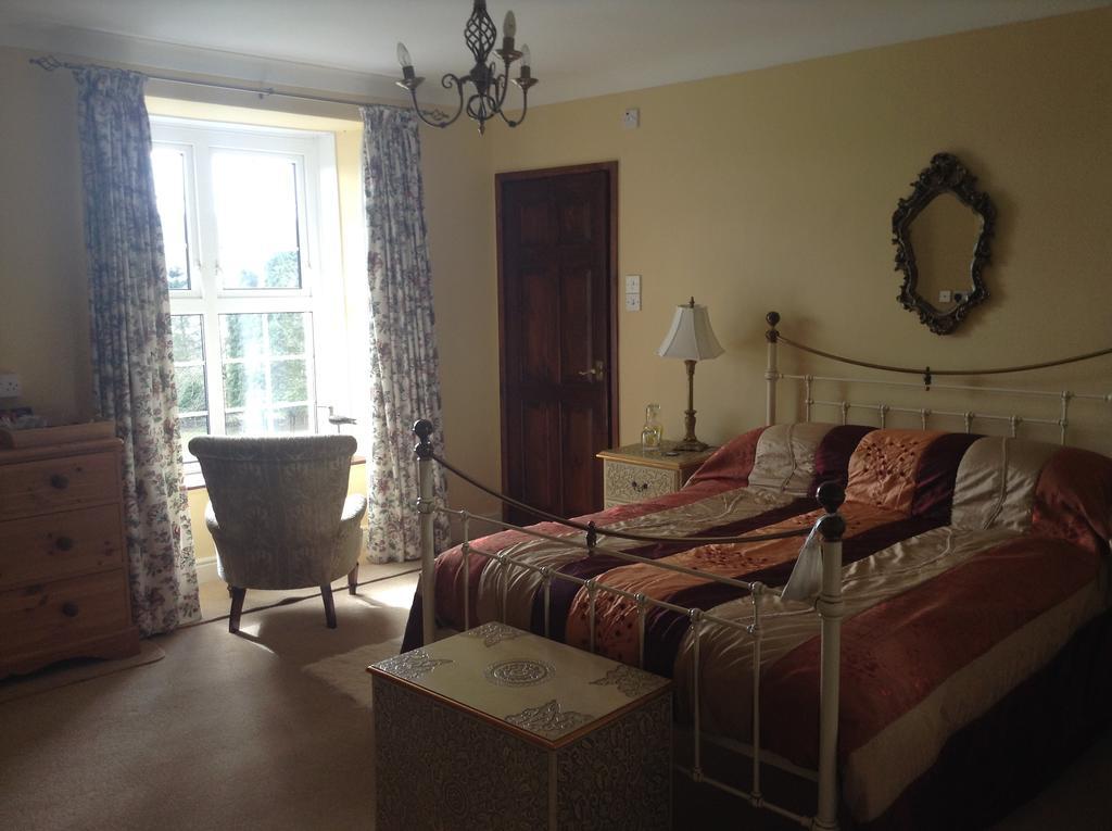 Frondderw Country House Bed & Breakfast Bala Εξωτερικό φωτογραφία